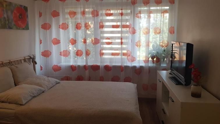 Апартаменты Taikos Studio 5 Клайпеда-24