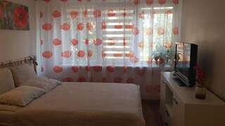 Апартаменты Taikos Studio 5 Клайпеда Апартаменты с 1 спальней-21